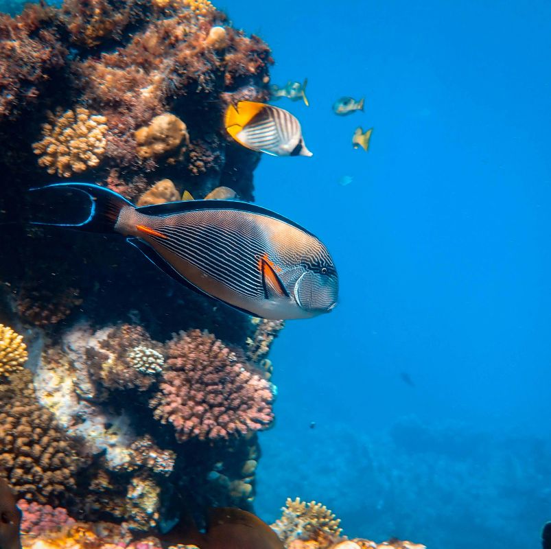Underwater environments