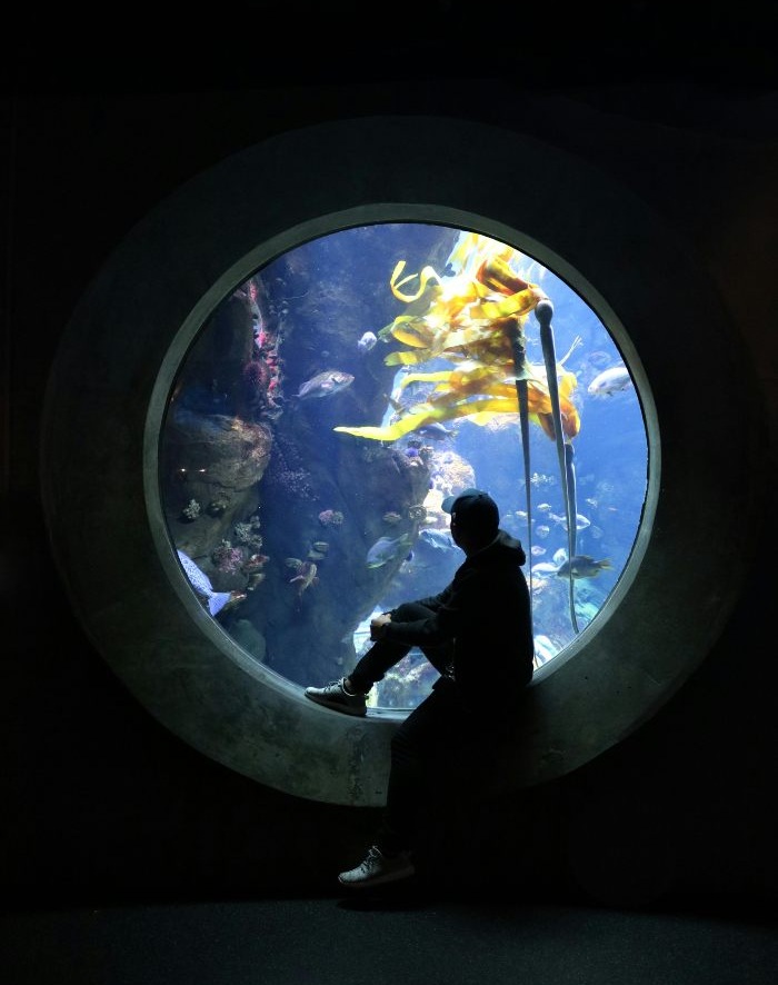 Underwater research
