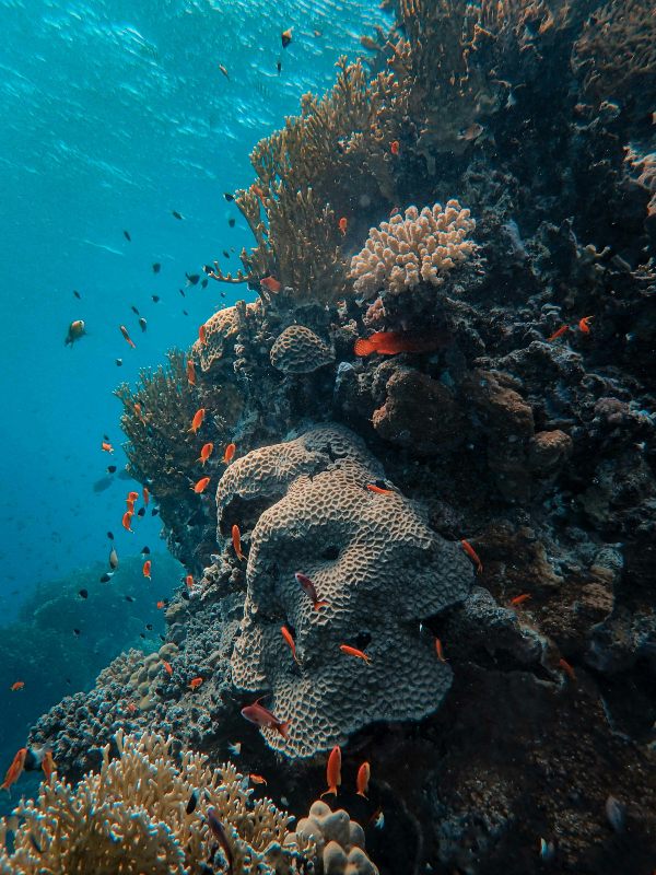 Underwater research